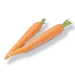 carrot