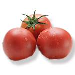 tomatoes